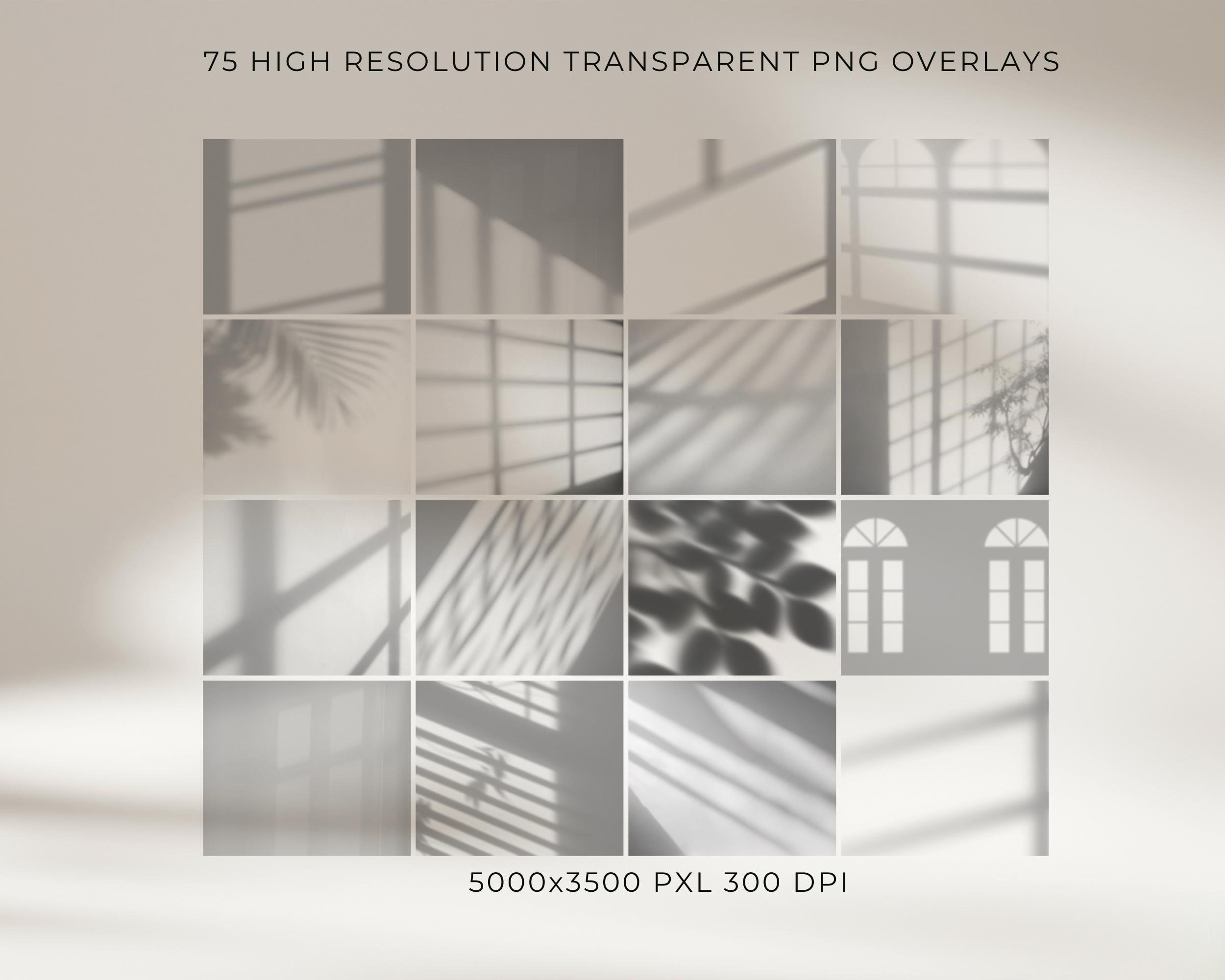Patterned Window Overlay 100+ Window Shadow Overlays Clipart – High-resolution Transparent Pngs ...
