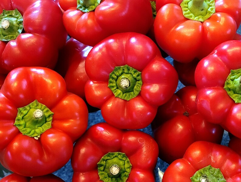 Tomaten-Paprika-Rosmarin Chutney, vegan 4,60 Euro/100g Bild 10