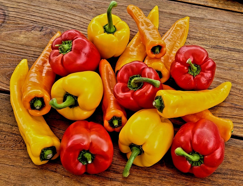 Tomaten-Paprika-Rosmarin Chutney, vegan 4,60 Euro/100g Bild 3