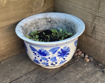 Pot