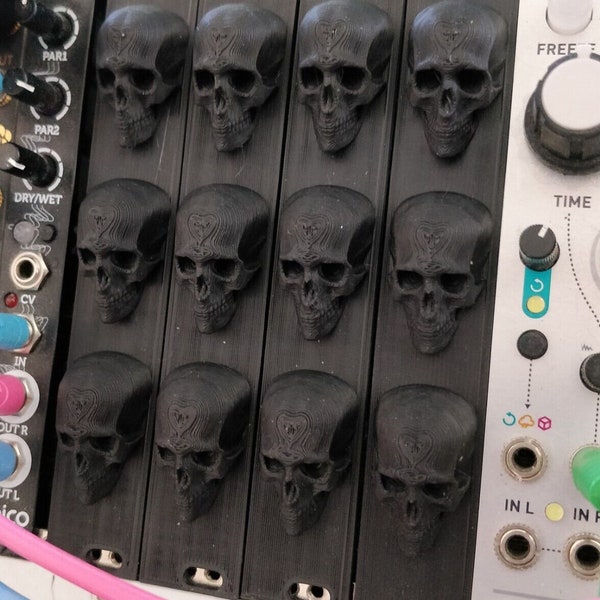 4HP Eurorack Synthesizer Skull Panel 3D Printed Eurorack Blank Panel Panneau Vierge Eurorack (Black Color)