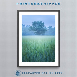Mid Wales Countryside Print, Powys Nature Photography, Framed Print Of Wales, Premium Quality Welsh Wall Art