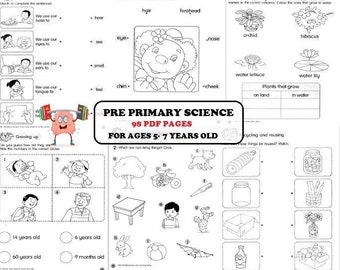 Science Worksheet Printable For Pre Primary Kindergarten