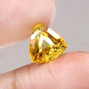 AAA Flawless Ceylon Yellow Sapphire Loose Trillion Gemstone Cut, Excellent Quality Sapphire Ring & Fine Jewelry Making Gemstone Cut 10x10 MM