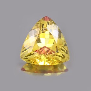 AAA Flawless Bi-Color Ceylon Yellow Sapphire Loose Trillion Gemstone Cut, Extreme Quality Sapphire Pendant & Jewelry Making Cut 23.60 CT