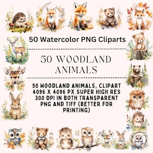 Clipart leśnych zwierząt, clipart małych zwierząt, niedźwiedź, lis, sowa, jeż, królik, jeleń, clipart akwarelowy, część cli, wystrój Baby Shower