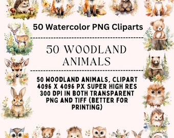 Waldtiere Clipart, Baby-Tiere-ClipArt, Bär, Fuchs, Eule, Igel, Kaninchen, Hirsch, Aquarell-ClipArt, CLI-Teil, Baby-Dusche-Dekor