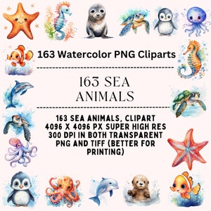 Niedliche Meerestiere Aquarell Clipart: Ideal für Baby Dekor. Enthält Oktopus, Qualle, Otter, Clownfisch, Pinguin, Delfin, Wal in PNG.