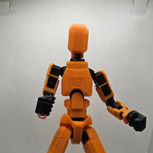 Dummy 13 Articulated Figure