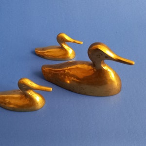 Family of Ducks