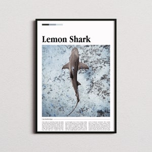 Lemon Shark Print, Marine Life Print, Marine Life Poster, Sea Wall Art, Scuba Diving Prints