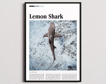 Lemon Shark Print, Marine Life Print, Marine Life Poster, Sea Wall Art, Scuba Diving Prints