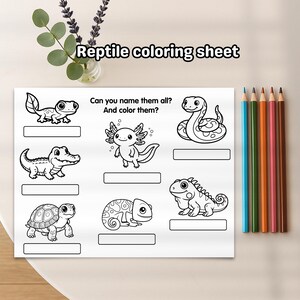 Reptile Coloring Sheet, Printable Page for Kids, Name the Animals (Gecko, Cameoleon, Crocodile, Axolotl, Snake, Turtle, Lizard)