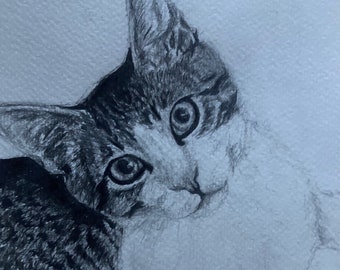 Custom pet and people portraits