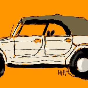VW Thing