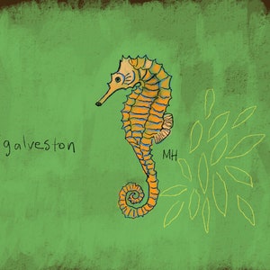 Galveston Seahorse