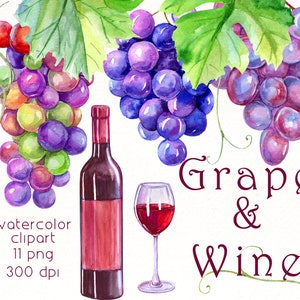 Grapevines Clipart , Grape clipart , Wine watercolor , wine glass png , fruit clip art , Party invitation , vine design , digital download.