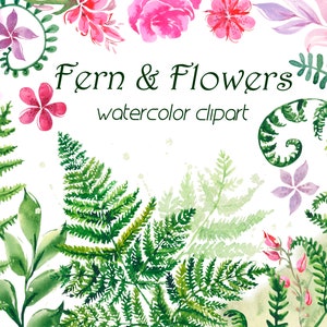 Clipart de fougère aquarelle, clipart de verdure, floral sauvage, élément png de forêt pour mariage, mariée, carte de voeux, téléchargement numérique