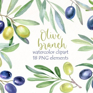 Imágenes Prediseñadas de olivo acuarela, imágenes prediseñadas de vegetación, archivos png de follaje, hoja de laurel, rama de olivo, pintado a mano vegetal, invitación digital rústica
