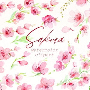 Clipart aquarela Sakura, ramo de flor de cerejeira png, clipart floral, flores em aquarela rosa primavera, gráficos de casamento, download digital.