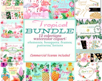Watercolor Tropical Clipart Bundle: Flamingo, Pineapple, Flowers (PNG)
