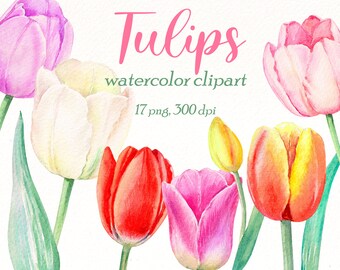 Watercolor Tulips Clipart: Spring Flower PNG Elements (Digital Download)