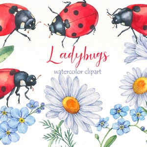 Clipart di coccinelle dell'acquerello, clip art di insetti carini, arte vivaio di piccoli animali, foresta, camomilla, non ti scordar di me fiore png download digitale.