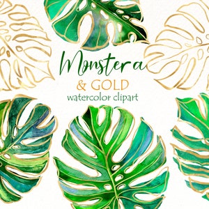Acuarela Monstera clipart, Tropical Leaves clip art, Greenery floral, Exotic hawaii Png set descarga instantánea, Invitación de boda de verano