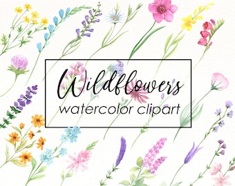 Aquarell Wildblumen Clipart: Handgemalte florale Elemente (PNG Digital Download)