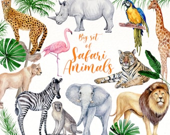 Safari animals watercolor clipart, cute baby animals bundle PNG, jungle clipart, Africa animals illustration, lion, hippo, digital download