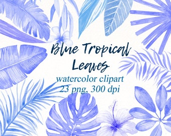 Watercolor Tropical Leaves Clipart: Blue Monstera PNG (Digital Download)