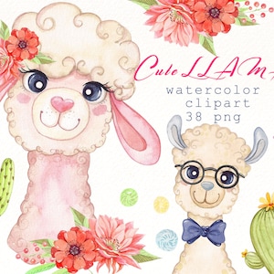 Watercolor Llama clipart , Llama head with flowers , alpaca clip art , cactus png files , animals digital graphics , instant download
