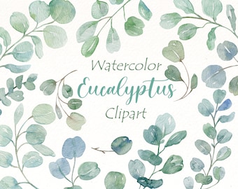May include: Watercolor clipart featuring various shades of green and blue eucalyptus leaves. The text "Watercolor Eucalyptus Clipart" is written in the center of the image.