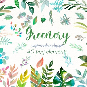 Watercolor Greenery Clipart , green leaf png , botanical clipart , floral clip art, summer wedding graphics , digital download