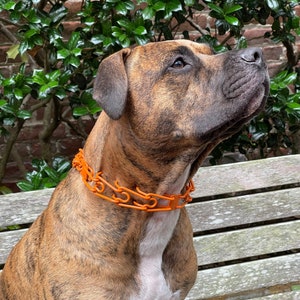 Custom Powder Coated Herm Sprenger Prong Training Collar Etsy