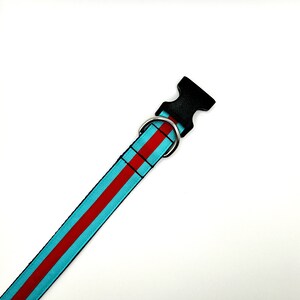 May include: A turquoise and red striped dog collar with a black plastic buckle and a silver metal D-ring.