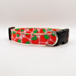 Strawberry Fields Custom Fabric Dog Collar