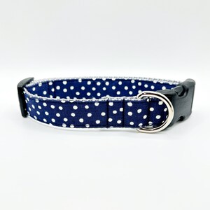 May include: A navy blue dog collar with white polka dots and a silver buckle.