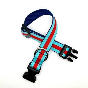 May include: A blue, red, and white striped dog collar with a black plastic buckle and a silver metal D-ring.