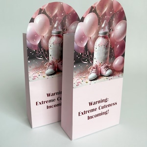 Printable Baby Shower Favor Bag: Pink Shoes & Balloons (Digital Download)