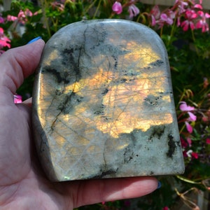 High Quality Sunset Flash Labradorite FreeForm
