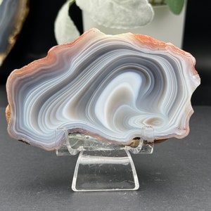 Botswana Agate Half Nodule - Polished Face - Beautiful Swirls