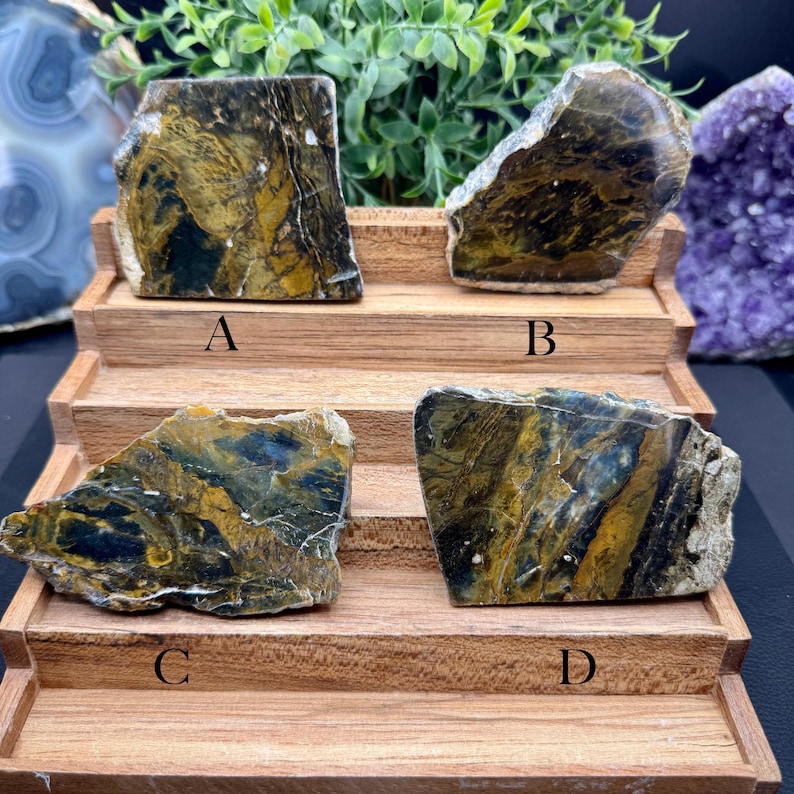 Polished Opalized Petrified Wood Slabs from Indonesia - Your Choice bild 1