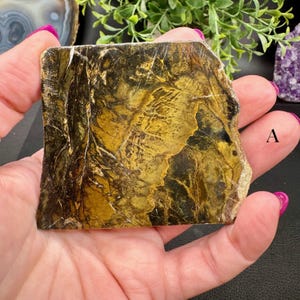 Polished Opalized Petrified Wood Slabs from Indonesia - Your Choice A