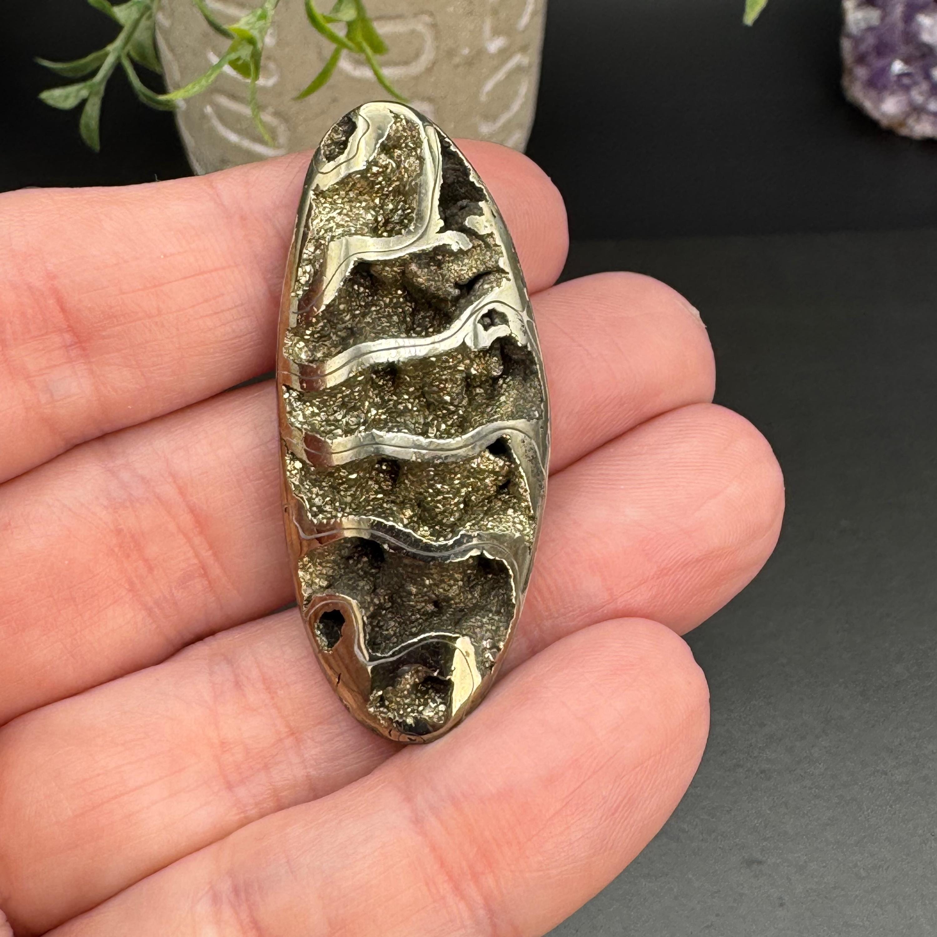 Pyritized Ammonite - Etsy