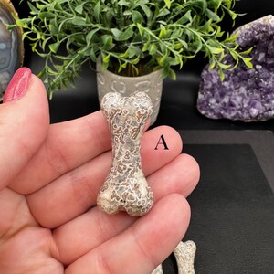 Puede incluir: Una peque&ntilde;a talla de piedra con forma de hueso que presenta un patr&oacute;n complejo y moteado de colores marr&oacute;n, beige y crema. La superficie muestra texturas intrincadas en forma de red por todo el objeto. La letra A est&aacute; impresa junto a la piedra.