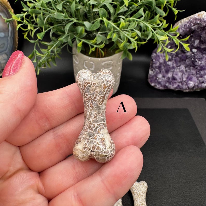 Puede incluir: Una peque&ntilde;a talla de piedra con forma de hueso que presenta un patr&oacute;n complejo y moteado de colores marr&oacute;n, beige y crema. La superficie muestra texturas intrincadas en forma de red por todo el objeto. La letra A est&aacute; impresa junto a la piedra.