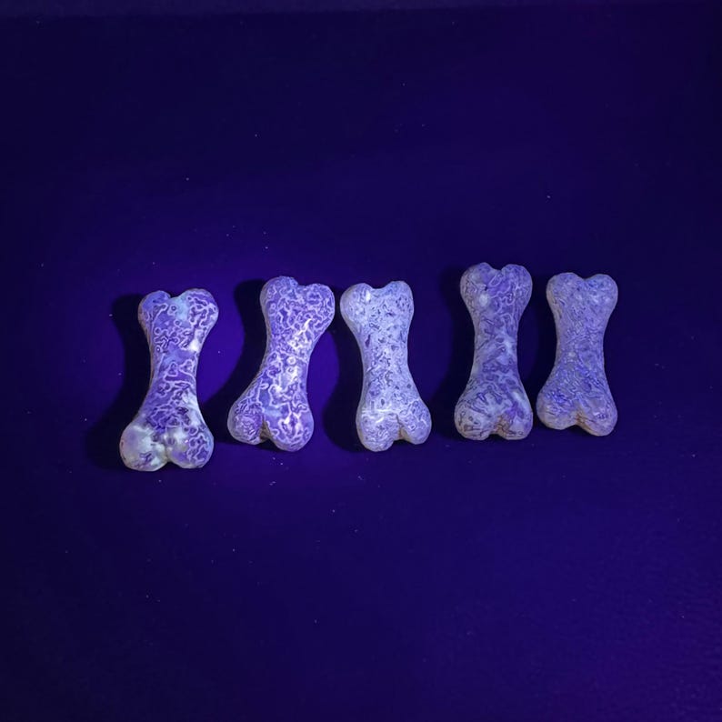 Puede incluir: Cinco objetos con forma de hueso dispuestos en una fila horizontal. Cada pieza presenta un patr&oacute;n jaspeado de color violeta y blanco brillante que fluoresce bajo luz ultravioleta, creando una textura intrincada y distintiva.