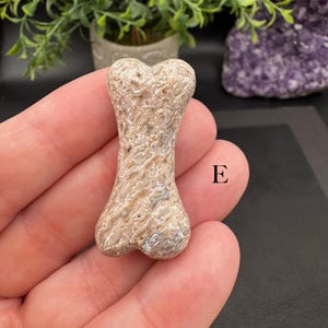 Puede incluir: Una peque&ntilde;a talla de piedra con forma de hueso y superficie texturizada en tonos beige y tostado, con intrincados patrones ondulados similares a f&oacute;siles. El objeto est&aacute; marcado con la letra E en negro para su identificaci&oacute;n.