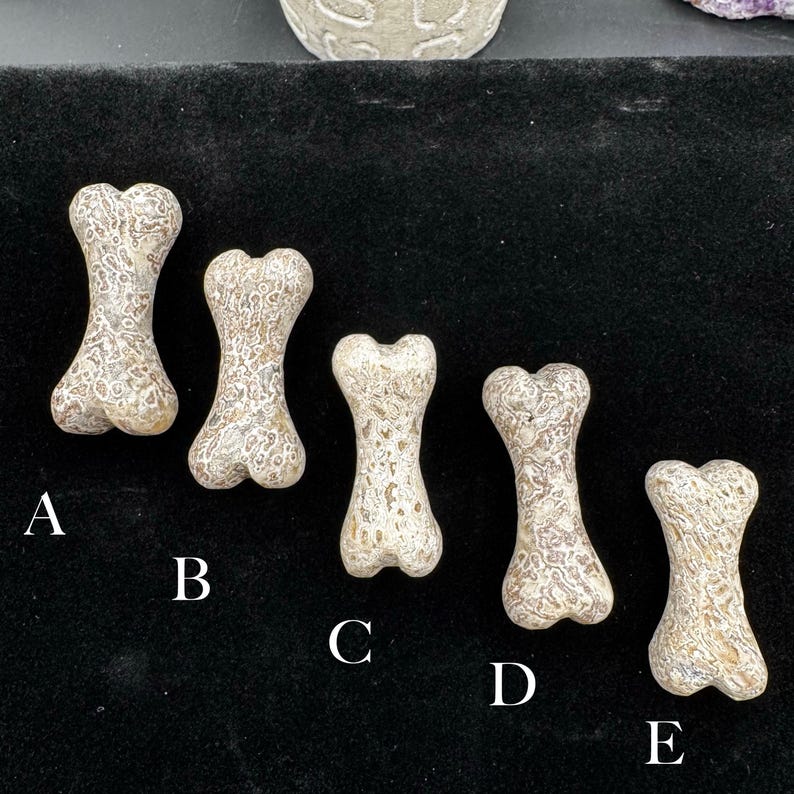 Puede incluir: Cinco tallas con forma de hueso dispuestas en fila, etiquetadas de la A a la E. Cada pieza presenta una superficie texturizada y moteada con una mezcla de tonos beige, marr&oacute;n y crema, mostrando un patr&oacute;n org&aacute;nico distintivo en el material.